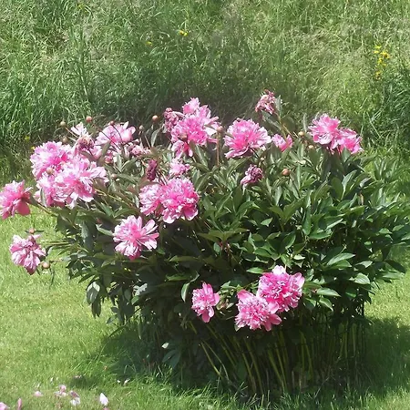 호텔 - Garni Stabauer 몬드시