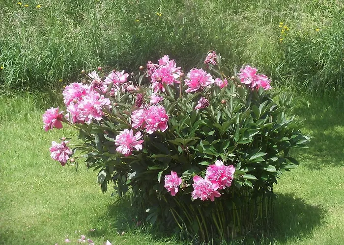 Hotel - Garni Stabauer Mondsee